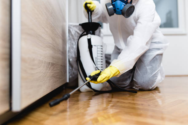 Best Bed Bug Extermination  in Velva, ND