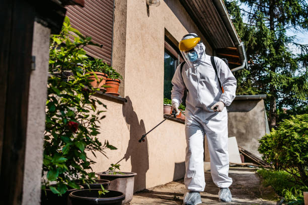 Reliable Velva, ND Pest Control Solutions