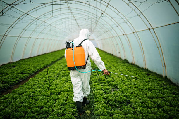 Best Local Pest Control Services  in Velva, ND