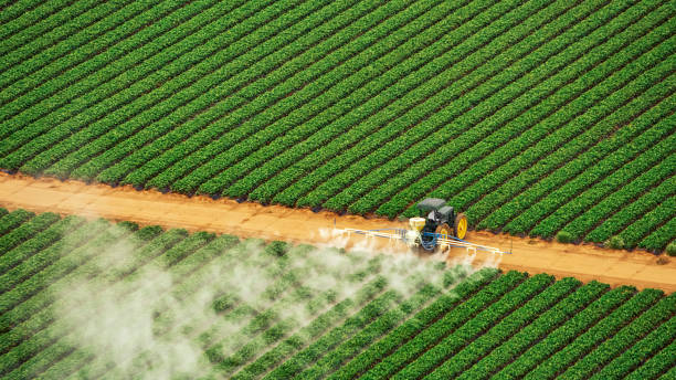 Best Commercial Pest Control Services  in Velva, ND