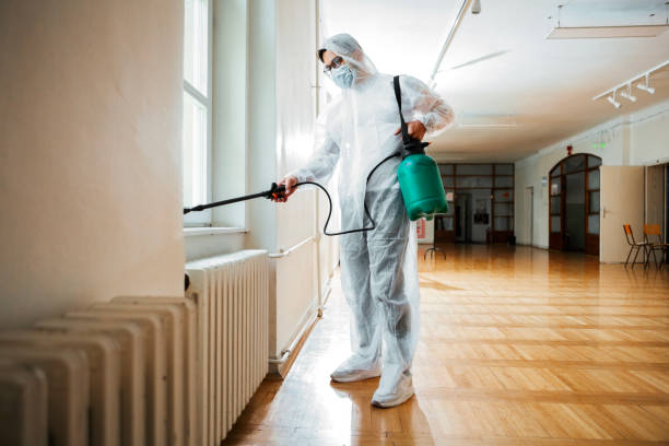 Best Pest Control Treatment  in Velva, ND